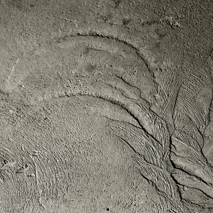 04 Concrete Wave: alchemy / grounding and elevation by Bruno Houdayer