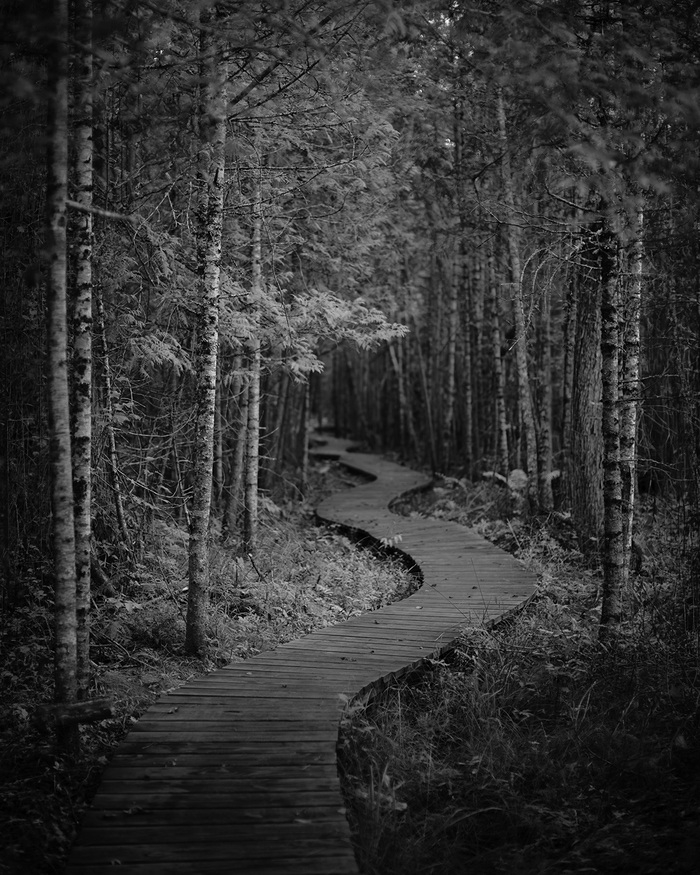 Whit's End by Geoffrey Ansel Agrons