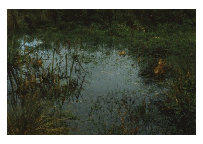 Pond von Daniel Dunt