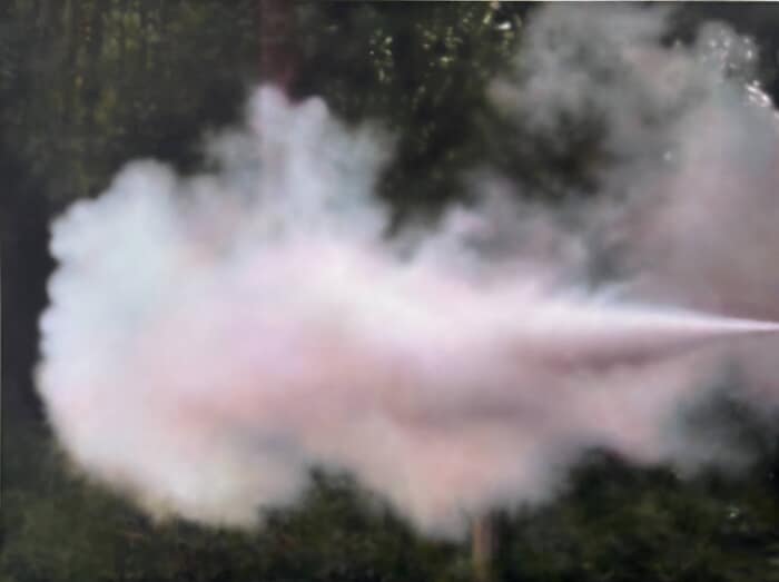 The Machine (woodland off the M25 near  Watford) 2 by Jo Berry
