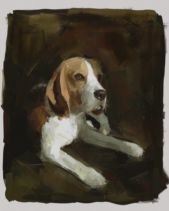 Buddy von Anna Bush