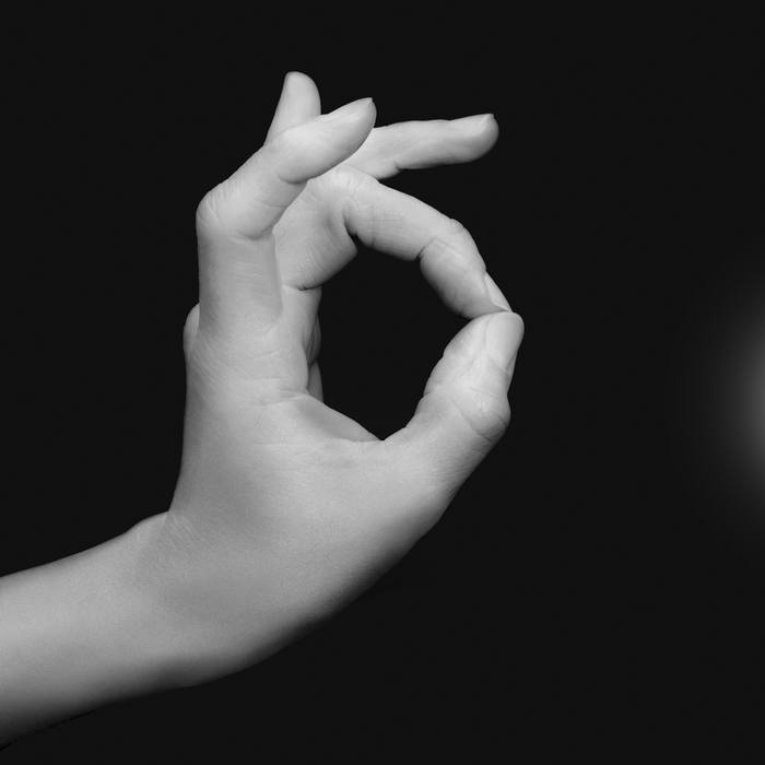 Mudra “Heart Harmonization” – purify, regulate, and soothe the heart von Bruno Houdayer