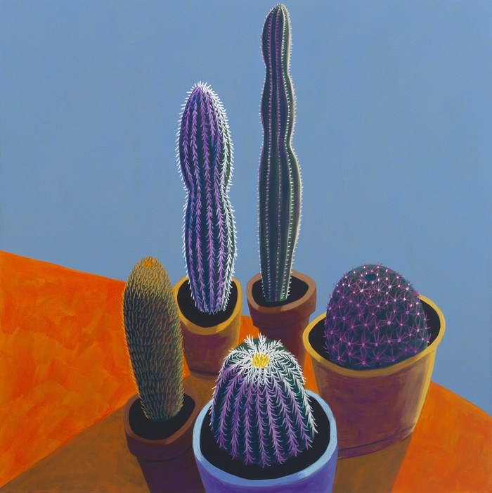 Sunlit Cactus 2 von Michael Pfleghaar