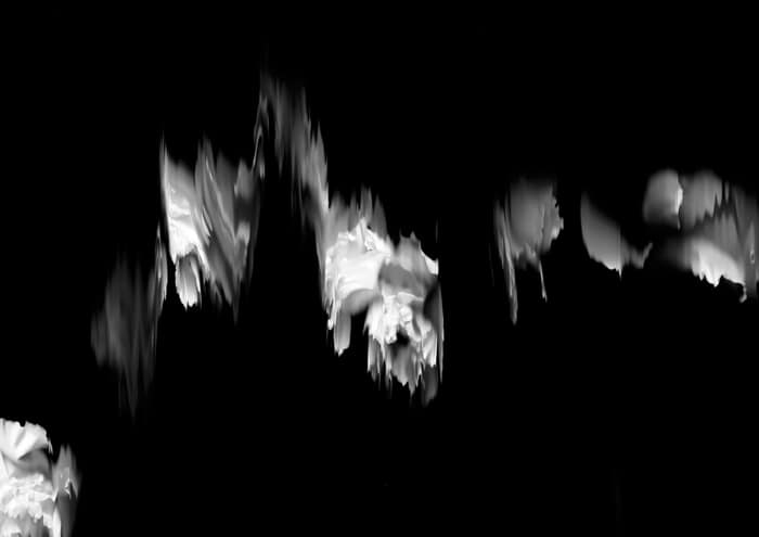 56 Floral Ballet: the dance of impermanence von Bruno Houdayer