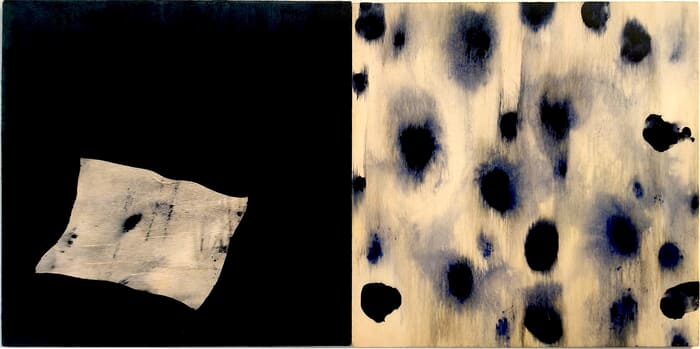 Dévoiler 2, diptyque by Remi Delaplace