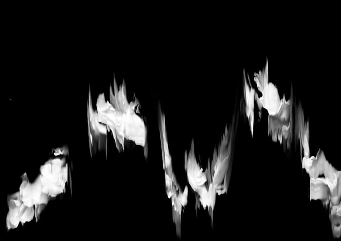 59 Floral Ballet: the dance of impermanence von Bruno Houdayer