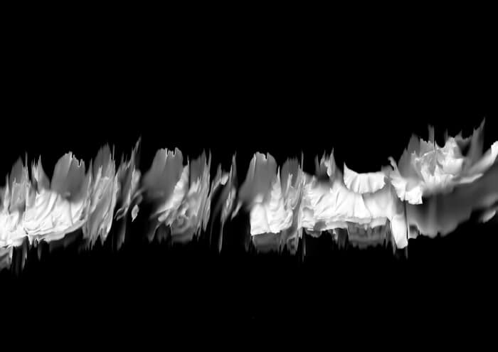 54 Floral Ballet: the dance of impermanence von Bruno Houdayer