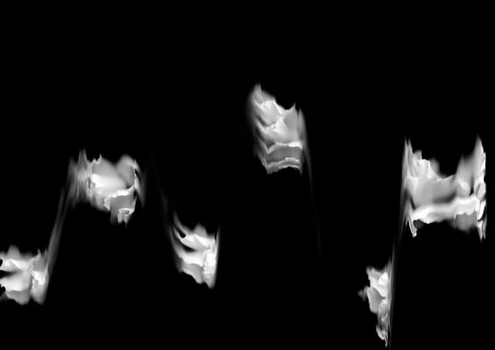 53 Floral Ballet: the dance of impermanence by Bruno Houdayer