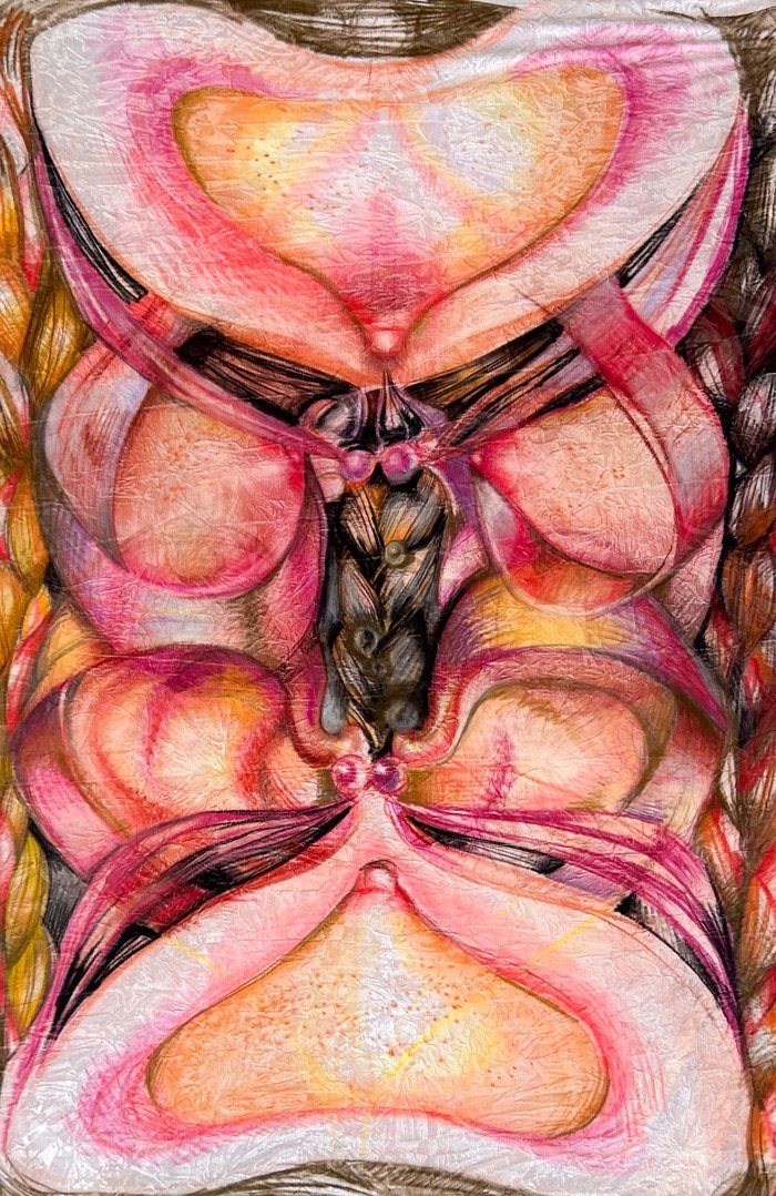 Three Braids by Baroque Anarchist