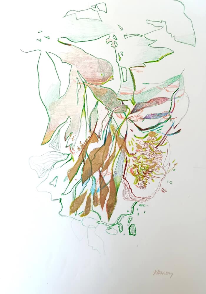 Drawn To Nature 6 von Magdalena Morey