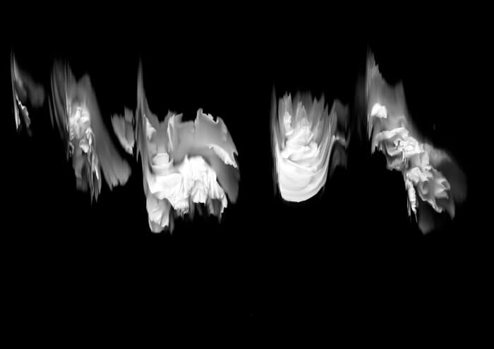 55 Floral Ballet: the dance of impermanence von Bruno Houdayer