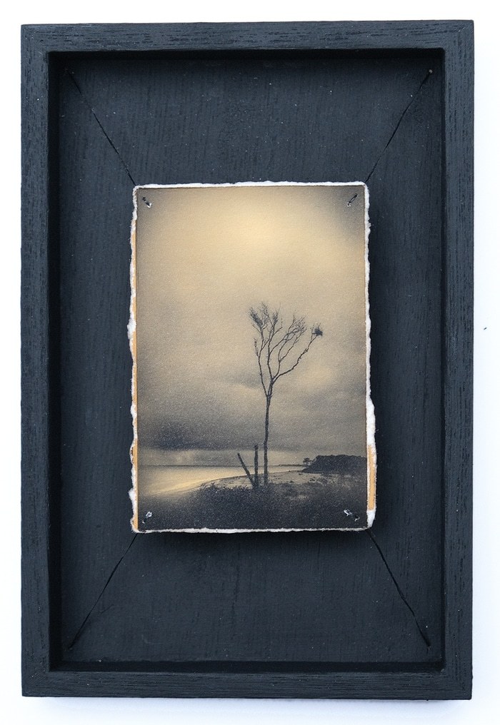 Doggerland 46 by Mark Tamer