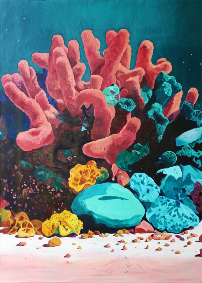 Coral Kingdom von Ben Stephenson