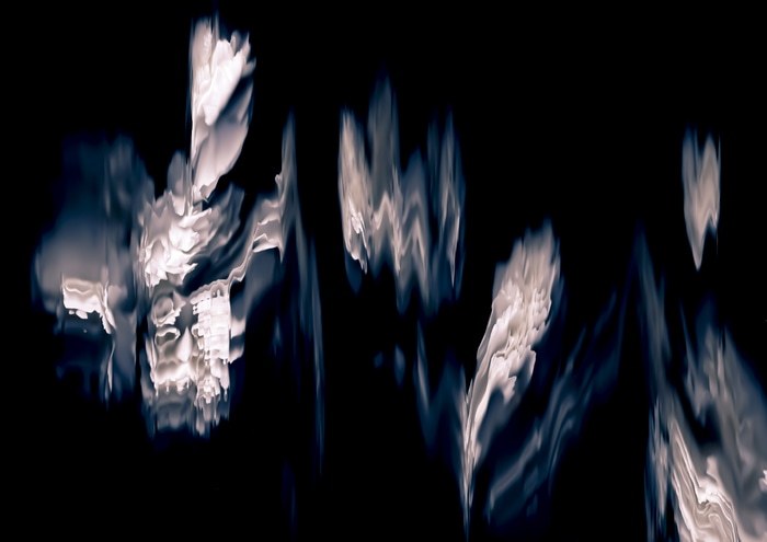 52 pink Floral Ballet: the dance of impermanence - scanography von Bruno Houdayer