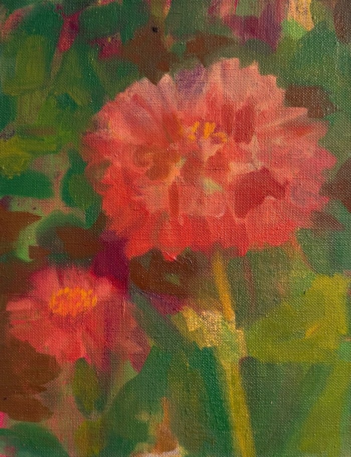 September Dahlia par Caroline Cornelius