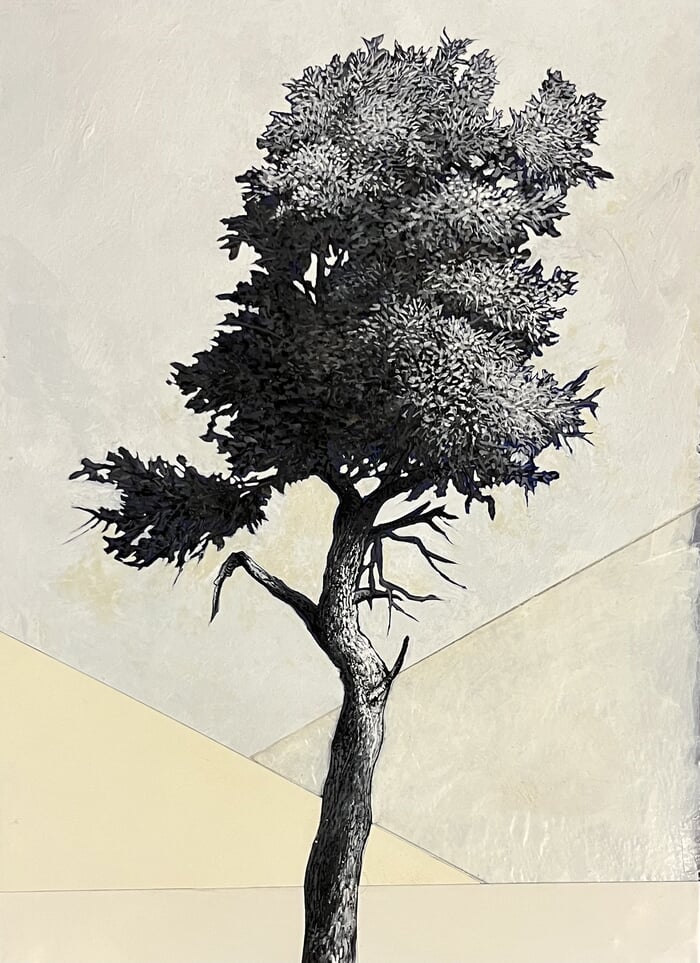 Portrait d’arbre by Cyrille Borgnet Dupont