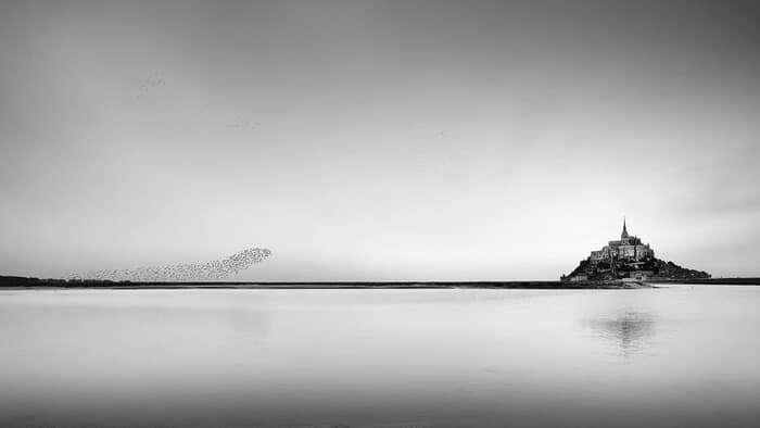 Murmuration by Geoffrey Ansel Agrons