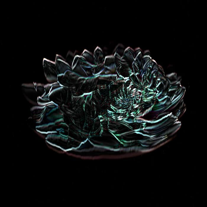 00 Floral Ballet: the dance of impermanence - scanography by Bruno Houdayer