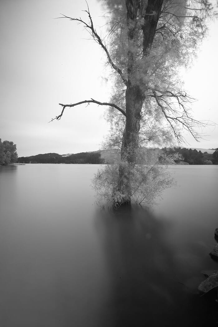 Surfactant by Geoffrey Ansel Agrons