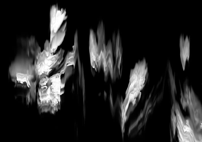 52 Floral Ballet: the dance of impermanence - scanography von Bruno Houdayer