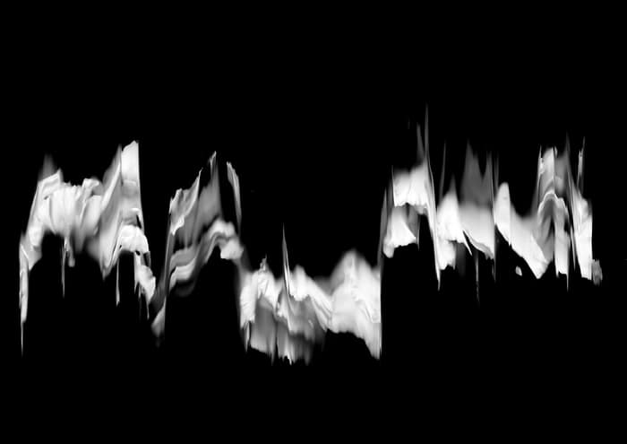 60 Floral Ballet: the dance of impermanence von Bruno Houdayer