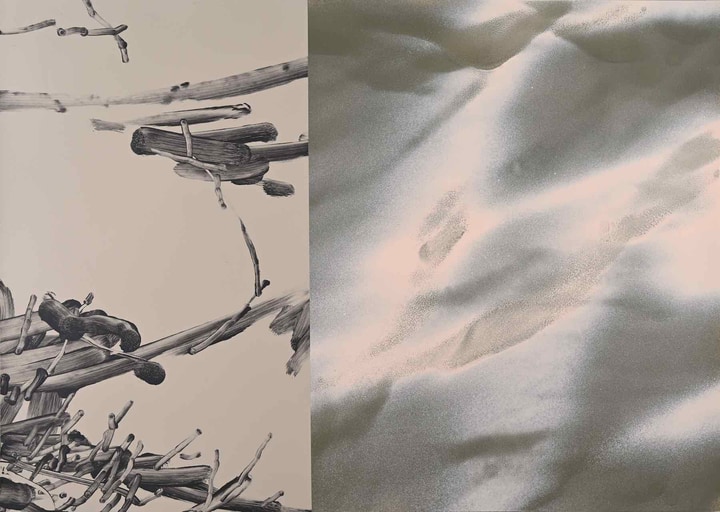 Euphrosyne Andrews and Daniel Fletcher: Blurring Boundaries and Authorship