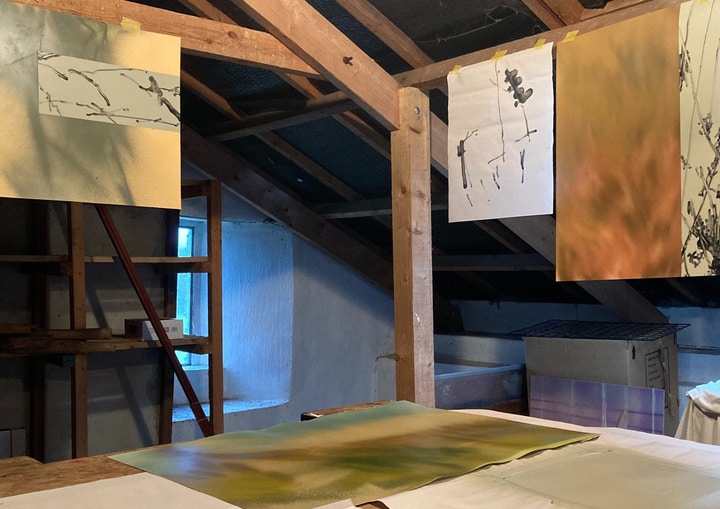 Euphrosyne Andrews and Daniel Fletcher: Blurring Boundaries and Authorship