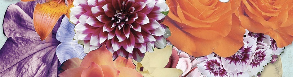 Ellie Vandoorne’s World of Illustration