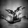 LOUIS BLANC